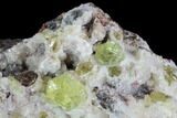 Apatite Crystals with Quartz - Durango, Mexico #91344-2